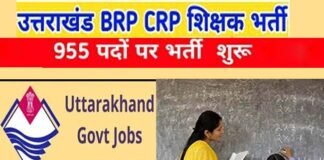 उत्तराखंड शिक्षा विभाग में BRP-CRP के 955 पदों पर भर्ती प्रक्रिया शुरू, बीएड के साथ-साथ CTET अथवा UTET अनिवार्य, यहाँ देखें पूरी डिटेल