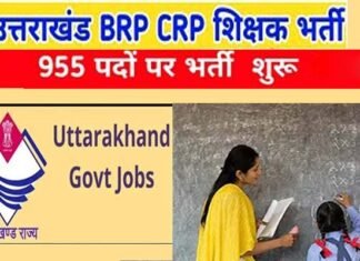 उत्तराखंड शिक्षा विभाग में BRP-CRP के 955 पदों पर भर्ती प्रक्रिया शुरू, बीएड के साथ-साथ CTET अथवा UTET अनिवार्य, यहाँ देखें पूरी डिटेल