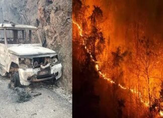 उत्तराखंड में जंगल की बेकाबू आग में जिंदा जले 4 वनकर्मी, 3 अफसरों पर गिरी गाज, झुलसे चार अन्य वनकर्मियों को एयर एम्बुलेंस से एम्स दिल्ली किया जा रहा है शिफ्ट