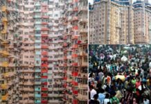 कोई तो हद हो मेरे शहर की, ये जिल्लत भरे शहर बेहद हो गये यार