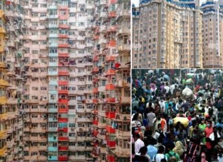 कोई तो हद हो मेरे शहर की, ये जिल्लत भरे शहर बेहद हो गये यार