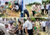 एक पेड़ मां के नाम’ अभियान का आगाज, ग्रेनो प्राधिकरण ने अब तक डेढ़ लाख पौधे लगाए