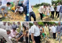 एक पेड़ मां के नाम’ अभियान का आगाज, ग्रेनो प्राधिकरण ने अब तक डेढ़ लाख पौधे लगाए