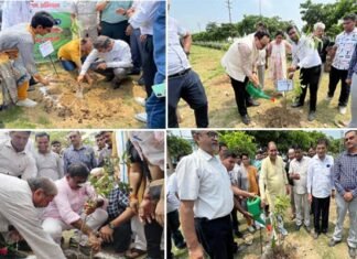 एक पेड़ मां के नाम’ अभियान का आगाज, ग्रेनो प्राधिकरण ने अब तक डेढ़ लाख पौधे लगाए
