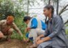 वन महोत्सव में बच्चों ने किया प्रतिभाग