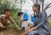 वन महोत्सव में बच्चों ने किया प्रतिभाग