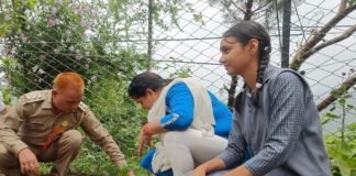 वन महोत्सव में बच्चों ने किया प्रतिभाग