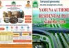 नोएडा एयपोर्ट के पास घर बनाने का सुनहरा मौका, यमुना प्राधिकरण ने लांच की आवासीय भूखंडों की योजना, 120 मीटर से लेकर 4000 वर्गमीटर तक के हैं प्लॉट, यहाँ देखें पूरी डिटेल Yamuna Residential Plot Scheme-2024