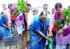गुरू पूर्णिमा के शुभ अवसर पर सीएम धामी ने ‘एक पेड़ मां के नाम’ अभियान के अंतर्गत अपनी माताजी संग किया पौधारोपण