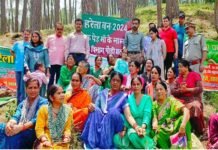 ”एक पेड़ मां के नाम” हरेला पर्व पर जज कोर्ट पौड़ी के समीप रोपे गए विभिन्न प्रजाति के पौधे, धरा को हरा-भरा बनाने का लिया संकल्प