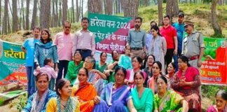 ”एक पेड़ मां के नाम” हरेला पर्व पर जज कोर्ट पौड़ी के समीप रोपे गए विभिन्न प्रजाति के पौधे, धरा को हरा-भरा बनाने का लिया संकल्प