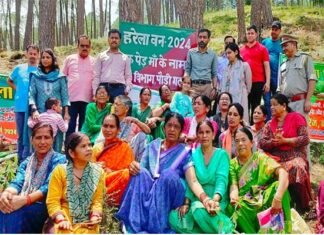 ”एक पेड़ मां के नाम” हरेला पर्व पर जज कोर्ट पौड़ी के समीप रोपे गए विभिन्न प्रजाति के पौधे, धरा को हरा-भरा बनाने का लिया संकल्प