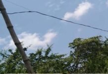 पौड़ी गढ़वाल: बिजली के पोल से तार टूटने से करंट की चपेट में आने से हुई महिला की मौत की होगी मजिस्ट्रीयल जांच