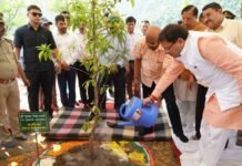 हरेला पर्व पर सीएम धामी ने शहीदों के नाम पर किया पौधरोपण, प्रदेशभर में 50 लाख पौधे रोपने का रखा है लक्ष्य