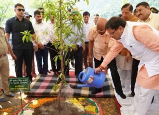 हरेला पर्व पर सीएम धामी ने शहीदों के नाम पर किया पौधरोपण, प्रदेशभर में 50 लाख पौधे रोपने का रखा है लक्ष्य