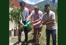 हरेला पर्व पर मेडिकल कॉलेज एवं बेस चिकित्सालय परिसर में रोपे पौधे