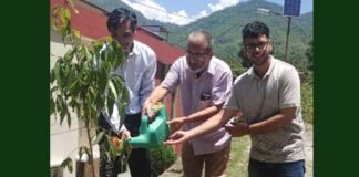 हरेला पर्व पर मेडिकल कॉलेज एवं बेस चिकित्सालय परिसर में रोपे पौधे