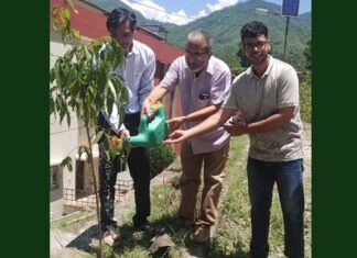 हरेला पर्व पर मेडिकल कॉलेज एवं बेस चिकित्सालय परिसर में रोपे पौधे