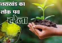 लोक पर्व हरेला पर शिक्षा विभाग रोपेगा दो लाख पौधे, विभागीय मंत्री का अधिकारियों निर्देश, छात्र-छात्राओं को पर्यावरण संरक्षण के प्रति करें जागरूक folk festival Harela