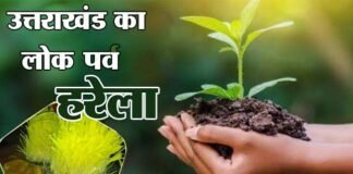 लोक पर्व हरेला पर शिक्षा विभाग रोपेगा दो लाख पौधे, विभागीय मंत्री का अधिकारियों निर्देश, छात्र-छात्राओं को पर्यावरण संरक्षण के प्रति करें जागरूक folk festival Harela