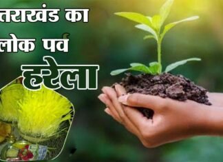 लोक पर्व हरेला पर शिक्षा विभाग रोपेगा दो लाख पौधे, विभागीय मंत्री का अधिकारियों निर्देश, छात्र-छात्राओं को पर्यावरण संरक्षण के प्रति करें जागरूक folk festival Harela