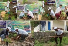 राजकीय महाविद्यालय देवप्रयाग में हरेला पखवाड़ा का शुभारंभ