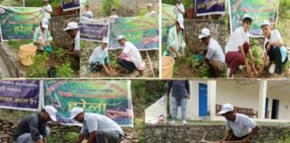 राजकीय महाविद्यालय देवप्रयाग में हरेला पखवाड़ा का शुभारंभ