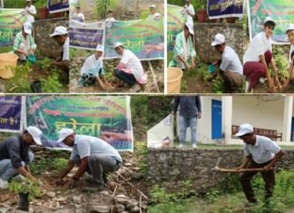 राजकीय महाविद्यालय देवप्रयाग में हरेला पखवाड़ा का शुभारंभ