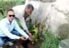 हरेला पर्व पर प्राथमिक विद्यालय जोगड़ी में वृक्षारोपण कार्यक्रम