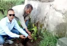 हरेला पर्व पर प्राथमिक विद्यालय जोगड़ी में वृक्षारोपण कार्यक्रम