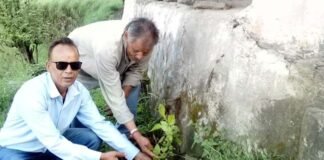 हरेला पर्व पर प्राथमिक विद्यालय जोगड़ी में वृक्षारोपण कार्यक्रम