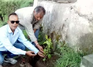 हरेला पर्व पर प्राथमिक विद्यालय जोगड़ी में वृक्षारोपण कार्यक्रम