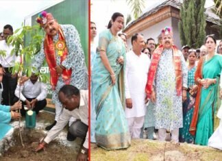 संस्कृति मंत्री महाराज ने लोकपर्व ‘हरेला’ पर किया वृक्षारोपण