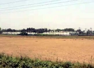 स्मार्ट औद्योगिक शहर के रूप में विकसित होगा उत्तराखंड का खुरपिया फार्म, 15 हजार करोड़ का आएगा निवेश, 50 हजार से अधिक युवाओं को मिलेगा रोजगार Khurpiya Farm of Uttarakhand