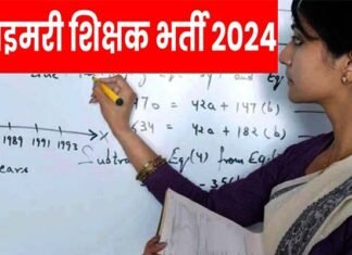 उत्तराखंड में बेसिक शिक्षकों के 2906 रिक्त पदों पर भर्ती के लिए काउंसिलिंग की डेट हुई जारी Primary Teacher Vacancy in uttarakhand