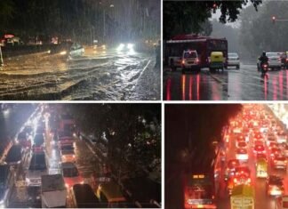 दिल्ली-NCR में झमाझम बारिश, किसी के लिए राहत तो किसी के लिए बनी आफत, कहीं उखड़े पेड़ तो कहीं घंटों ट्रैफिक जाम में फंसे लोग