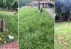 बदहाल पार्कों से परेशान हैं ग्रेटर नोएडा के सेक्टर गामा-1 के निवासी