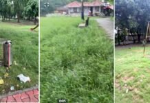 बदहाल पार्कों से परेशान हैं ग्रेटर नोएडा के सेक्टर गामा-1 के निवासी