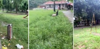 बदहाल पार्कों से परेशान हैं ग्रेटर नोएडा के सेक्टर गामा-1 के निवासी
