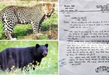 पौड़ी गढ़वाल के डांगी गांव में गुलदार एवं भालू के भय से जन जीवन प्रभावित, ग्रामीणों ने डीएफओ को दिया ज्ञापन