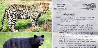 पौड़ी गढ़वाल के डांगी गांव में गुलदार एवं भालू के भय से जन जीवन प्रभावित, ग्रामीणों ने डीएफओ को दिया ज्ञापन