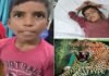 12 साल के बच्चे ने गुलदार के जबड़े से छुड़ाया छोटे भाई को, नरभक्षी के सिर पर डंडे बरसाकर बचाई छोटे की जान