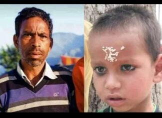 गाय चराने जंगल जा रहे पिता-पुत्र पर ततैया के झुंड ने किया हमला, नहीं बचाई जा सकी जान Wasp attacked father and son in Tehri