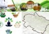 उत्तराखंड में आयुर्वेद को बढ़ावा देने के लिए इन 13 गांवों को बनाया जायेगा आदर्श आयुष ग्राम, यहाँ देखें लिस्ट Aadarsh Ayush Gram in Uttarakhand