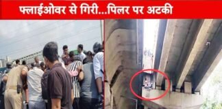 कार ने स्कूटी सवार युवती को मारी टक्कर, फ्लाईओवर से गिरकर पिलर पर अटकी लड़की, ऐसे बची जान car hit a girl riding scooty on Noida elevated road