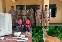 पौड़ी: घुरड़ (हिरण) का शिकार करने वाले दो आरोपी गिरफ्तार, फ्रिज से बरामद हुआ मांस hunting ghurad deer in Pauri