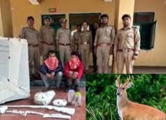 पौड़ी: घुरड़ (हिरण) का शिकार करने वाले दो आरोपी गिरफ्तार, फ्रिज से बरामद हुआ मांस hunting ghurad deer in Pauri