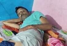 बंदरों ने युवक को किया लहूलुहान