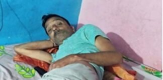 बंदरों ने युवक को किया लहूलुहान