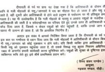 दीपावली में आतिशबाजी के दौरान पशुओं को पहुंची हानि तो होगी कार्रवाई